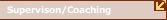 Supervison/Coaching